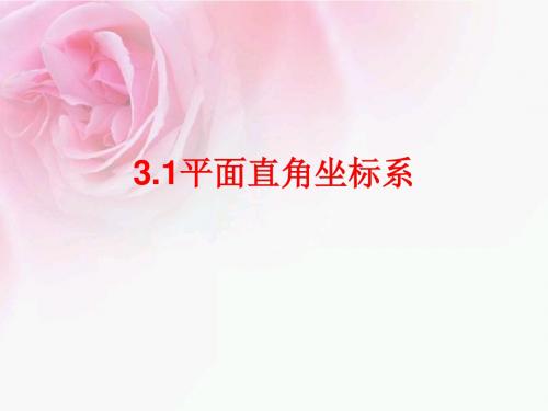 湘教版八年级数学下册《3章 图形与坐标  3.1 平面直角坐标系  3.1平面直角坐标系》公开课课件_7