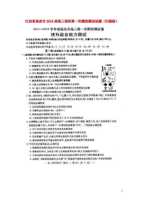 江西省南昌市高三理综第一次模拟测试试题(扫描版)