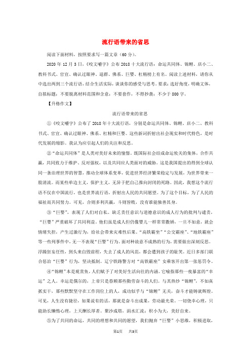 高考作文预测热点话题素材流行语带来的省思