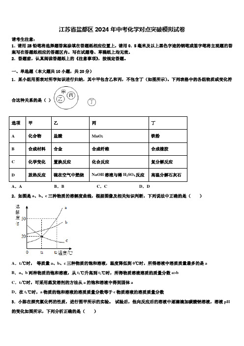 江苏省盐都区2024届中考化学对点突破模拟试卷含解析