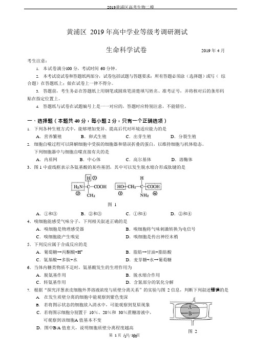 2019黄浦区高考生物二模