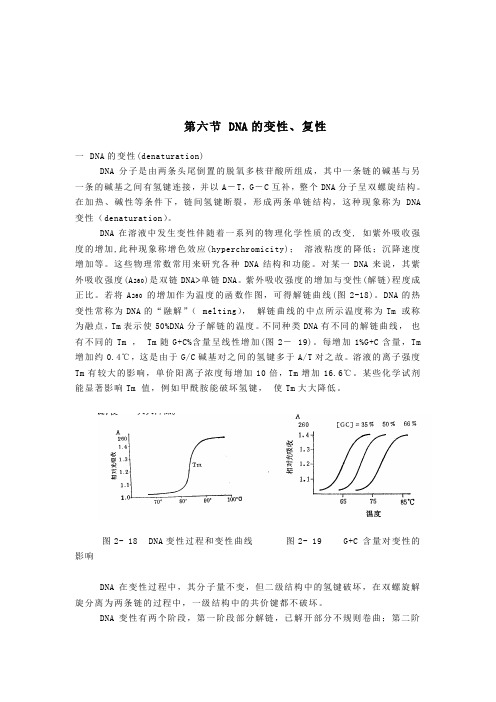 第六节-DNA的变性、复性.