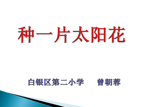 北师大版四年级下册《种一片太阳花》课件