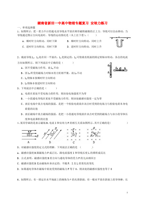 湖南省新田一中高中物理专题复习 安培力练习