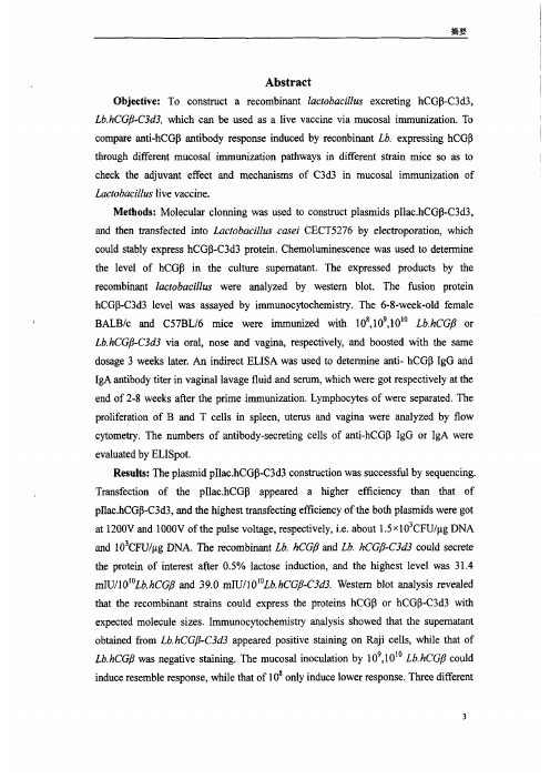 表达hcgβc3d3融合蛋白的乳酸杆菌活疫苗粘膜免疫增强抗hcgβ免疫效应机制