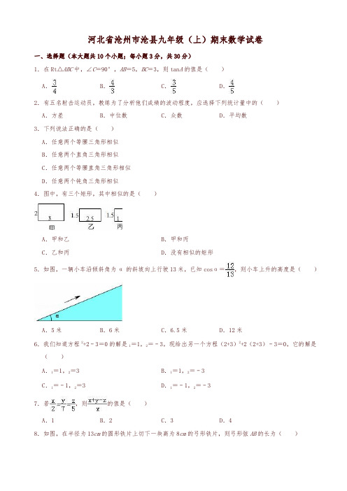 2019-2020年沧州市沧县九年级上册期末数学试卷(有答案)-优质版