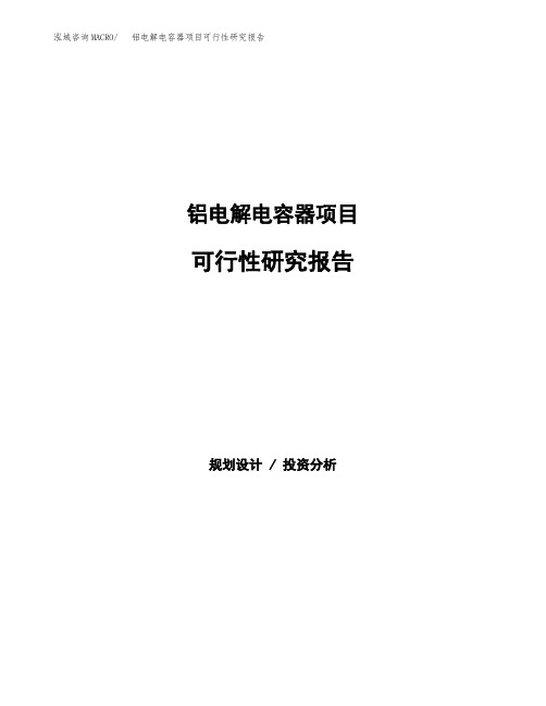 铝电解电容器项目可行性研究报告(立项备案下载可编辑)