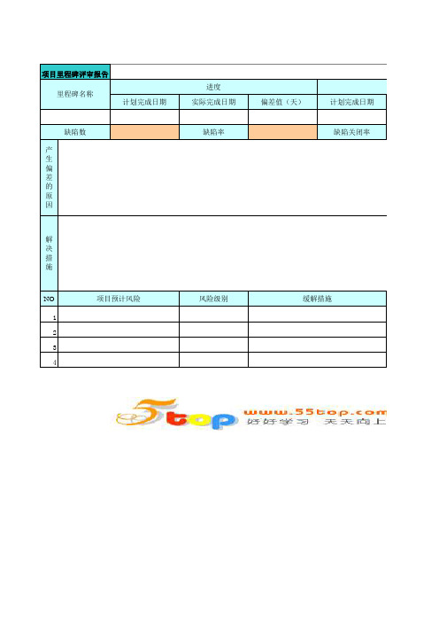 软件项目里程碑评审报告