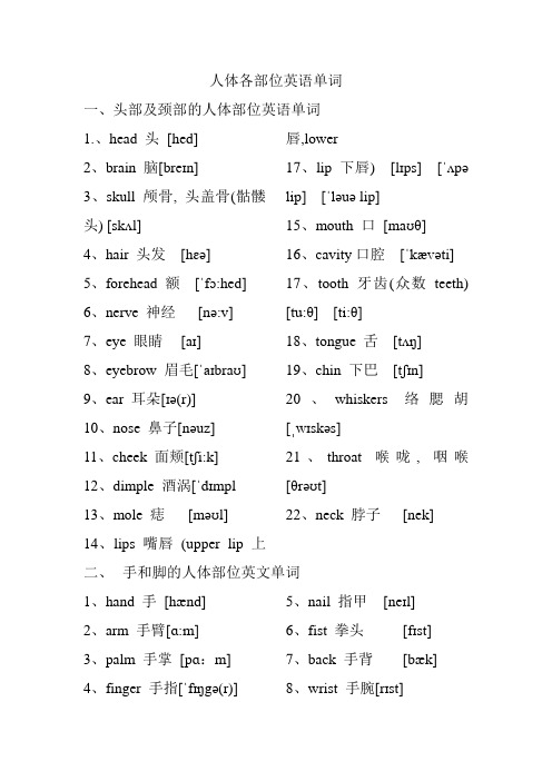 人体各部位英语单词及其他汇总