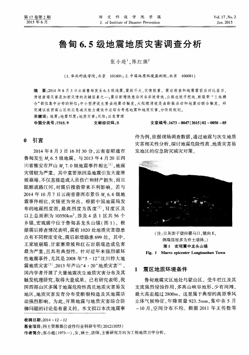 鲁甸6.5级地震地质灾害调查分析