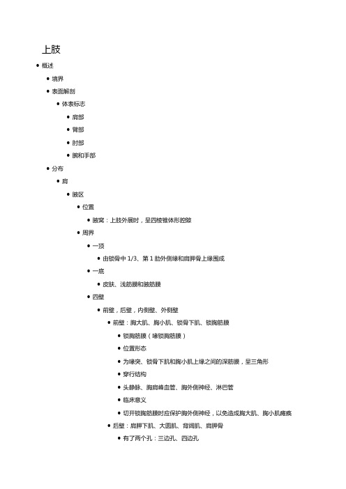 局部解剖学——上肢