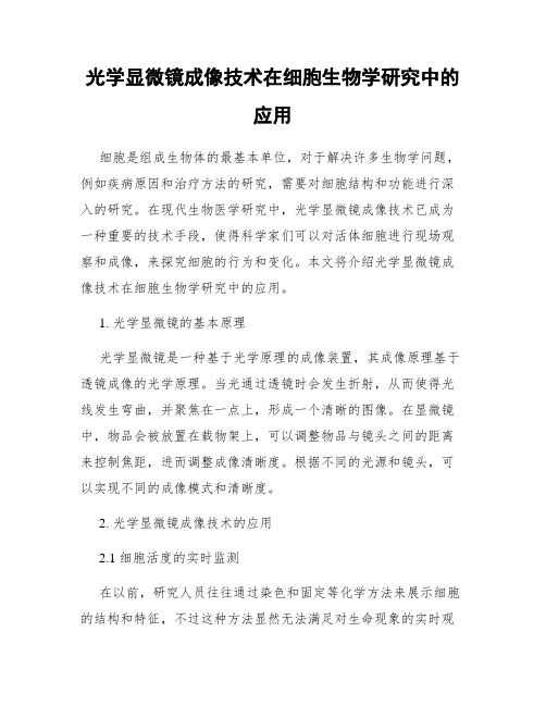 光学显微镜成像技术在细胞生物学研究中的应用