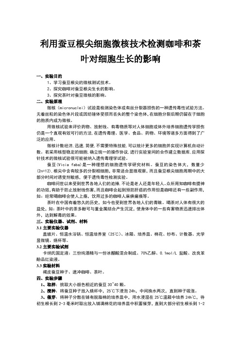 利用蚕豆根尖细胞微核技术检测咖啡和茶叶对细胞生长的影响