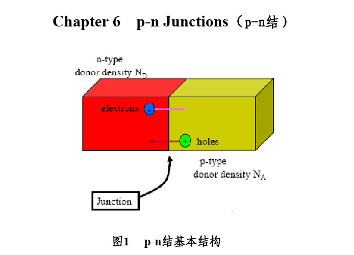 半导体物理基础-第四章p-n结