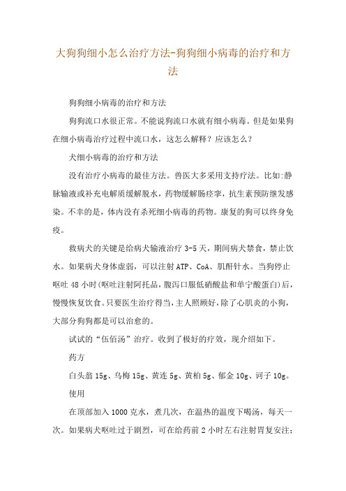 大狗狗细小怎么治疗方法-狗狗细小病毒的治疗和方法