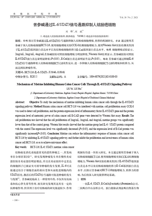 苦参碱通过IL-6STAT3信号通路抑制人结肠癌细胞