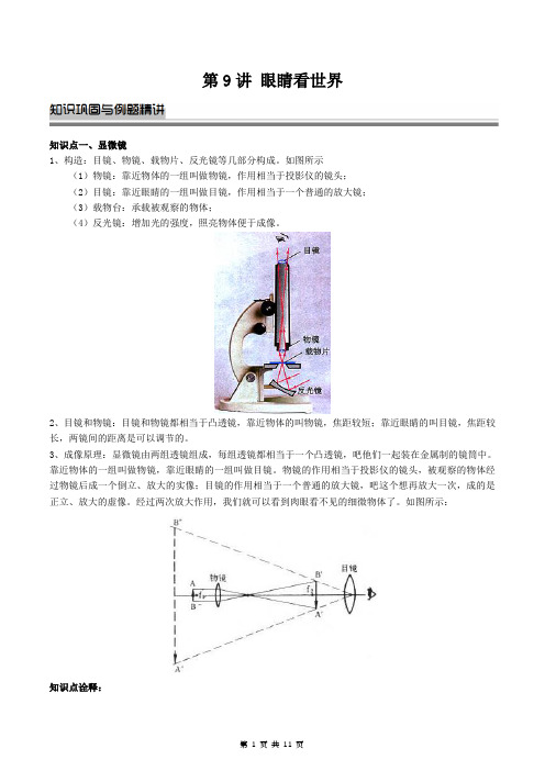 第9讲  眼睛看世界-- --2023-2024学年上学期人教版八年级物理周末强基讲义