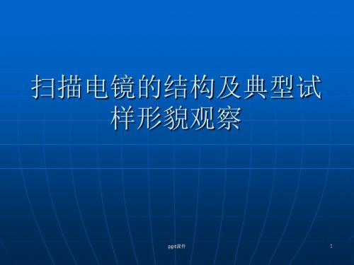 扫描电镜的结构及典型试样形貌观察  ppt课件