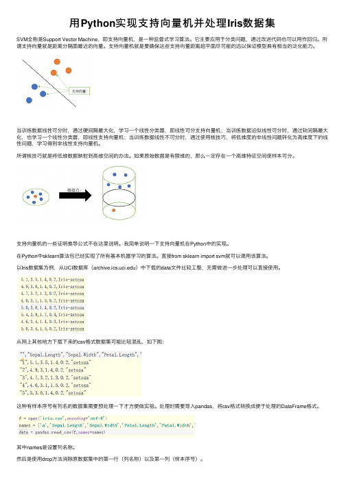 用Python实现支持向量机并处理Iris数据集