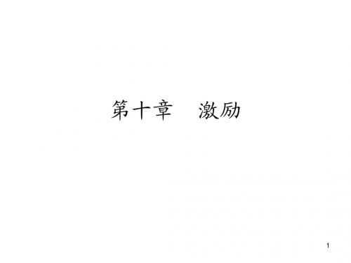 第十章 激励