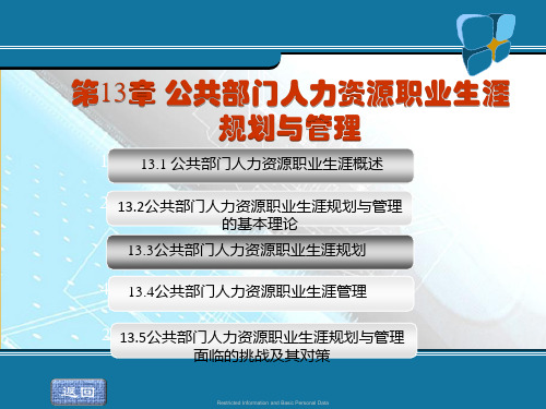 第十三章公共部门人力资源职业生涯与规划《公共部门人力资源管理》PPT课件