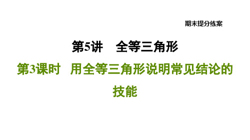 5.3用全等三角形说明常见结论的技巧