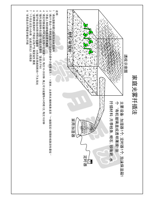 光雾法扦插