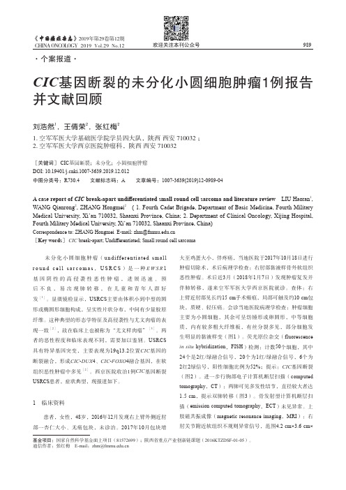 CIC 基因断裂的未分化小圆细胞肿瘤1例报告并文献回顾