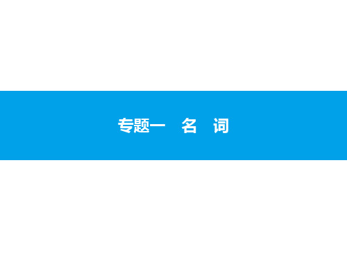 2020中考英语复习课件：专题一 名 词(共50张PPT)