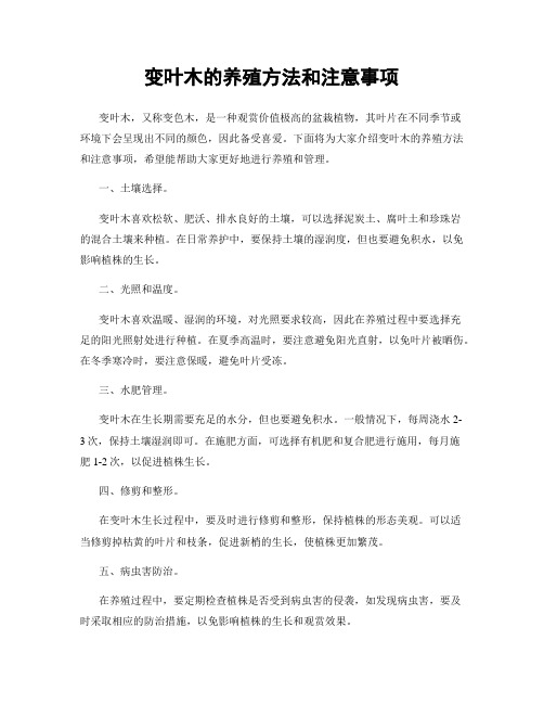 变叶木的养殖方法和注意事项