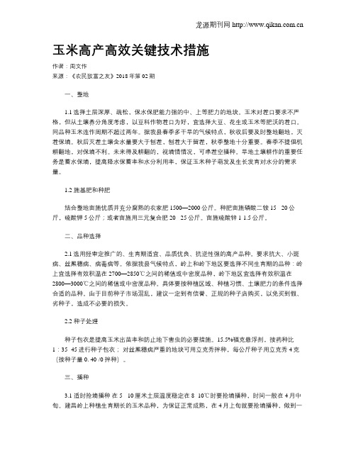 玉米高产高效关键技术措施