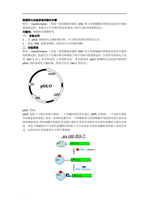 细菌转化实验原理和操作步骤