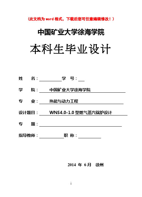 WNS4460-1460型燃气蒸汽锅炉设计毕业设计