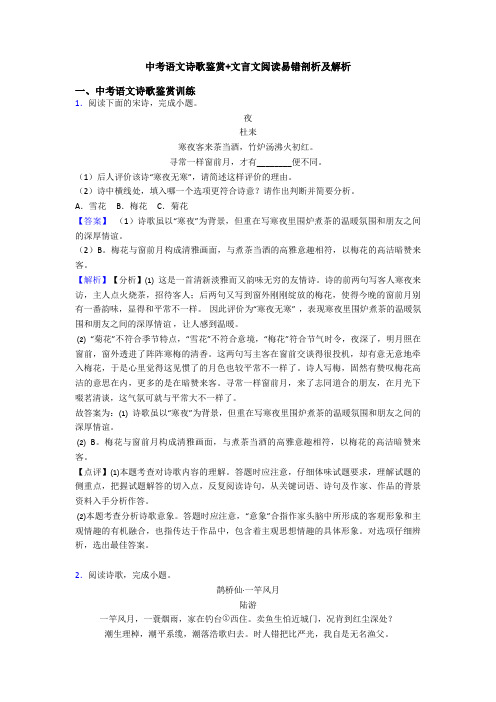 中考语文诗歌鉴赏+文言文阅读易错剖析及解析 (3)