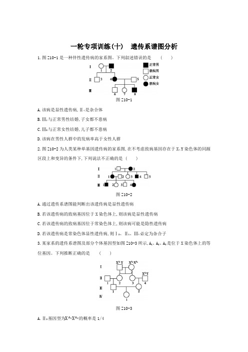 一轮专项训练(10) 遗传系谱图分析(含答案详解)  