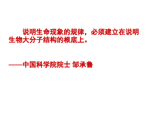 高中生物细胞中的元素和化合物优秀课件