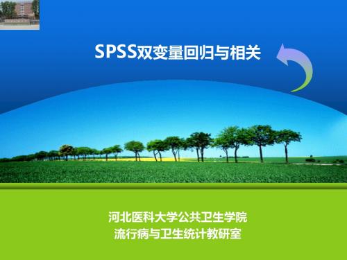 spss双变量回归和相关课件-PPT精选文档