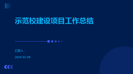 示范校建设项目工作总结