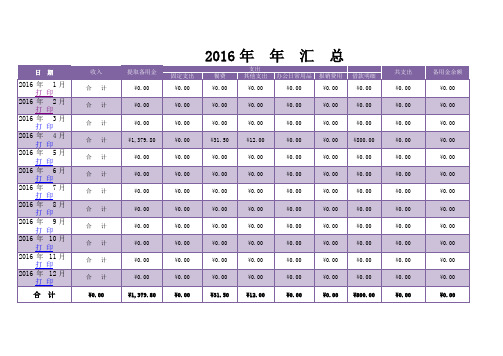 2016年公司收支明细表模板