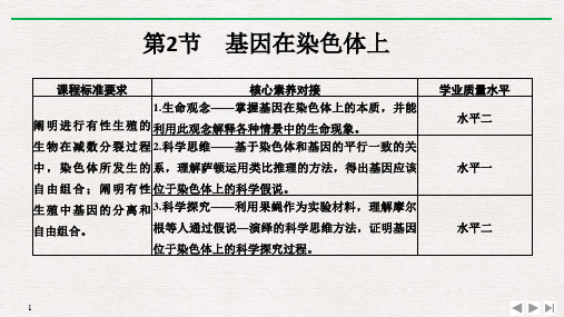 新教材人教版生物必修第二册课件基因在染色体上