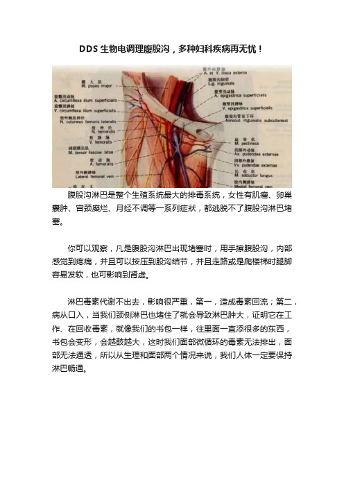 DDS生物电调理腹股沟，多种妇科疾病再无忧！