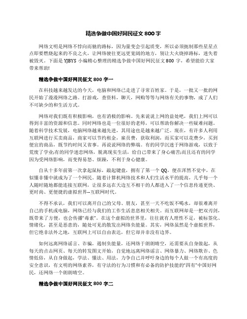 精选争做中国好网民征文800字