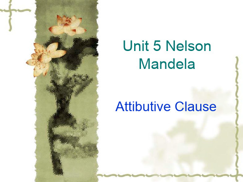 人教版高中英语必修一Unit5 Nelson Mandela-a morden hero 课件(共29张PPT)