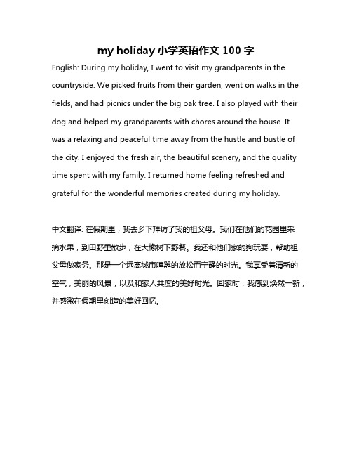 my holiday小学英语作文100字