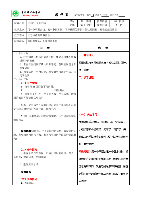 1.3截一个几何体(教学案)