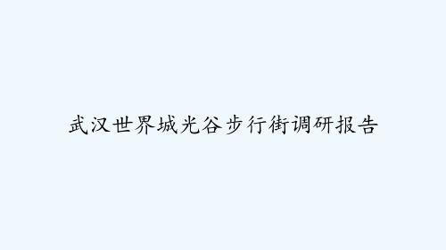 武汉世界城光谷步行街调研报告 PPT