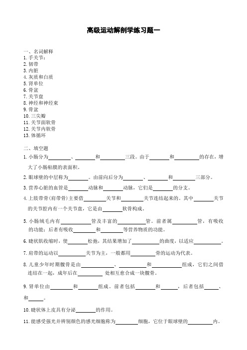 高级运动解剖学练习题