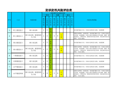 防洪防汛风险评估表