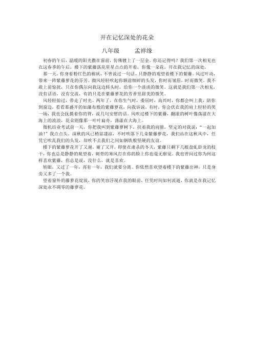 开在记忆深处的花朵