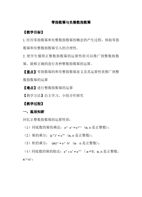 新华东师大版八年级数学下册《16章 分式  16.4 零指数幂与负整数指数幂  零指数幂与负整数指数幂》教案_3